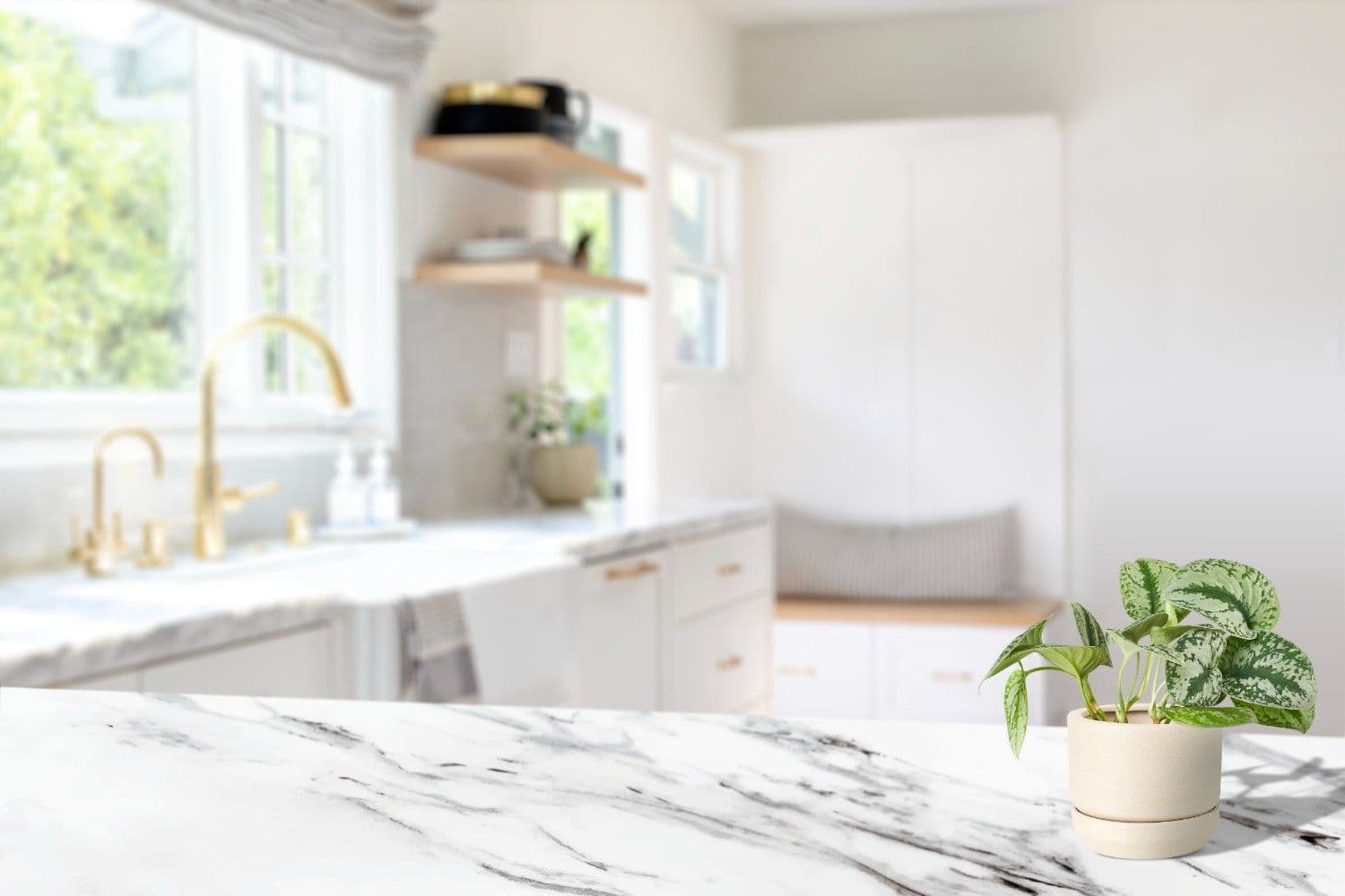 Affordable kitchen cabinets Tampa